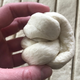 Illustration for article titled How to cheat your way to "homemade" garlic knots
